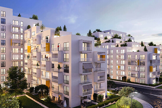 Arbo - Proprietate investiție